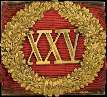 Знак отличия «За безупречную службу» XXV лет